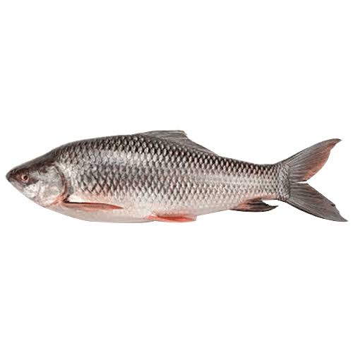 Damodar Rui / Rohu Fish - (5Kg Fish) - Gross Weight 500gm per packet