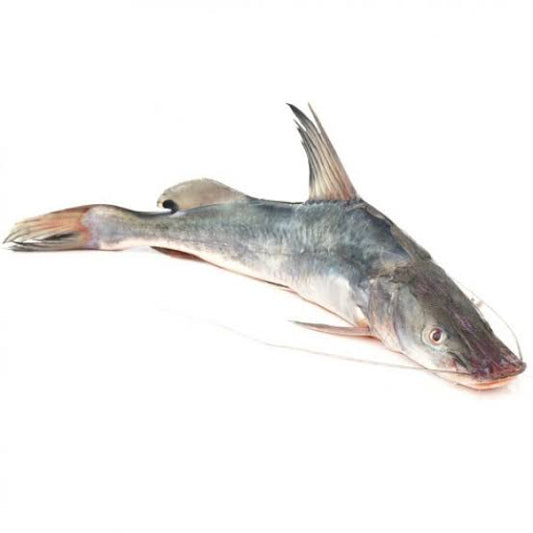 Aar Mach (LARGE) - 1.5 to 3 kg Fish- (Gross Weight 500 Gm)-Ring Pieces